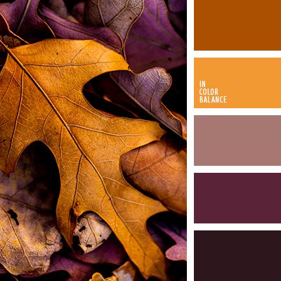 Fall color scheme